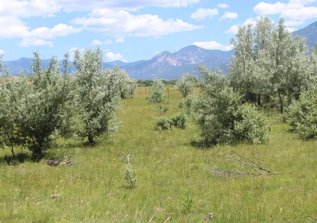 3rd image of La Senisa Rd, Taos, NM 87571 | MLS# 1096146