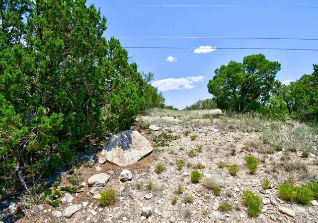 5th image of 0 Unassigned Rd, Edgewood, NM 87015 | MLS# 1096209