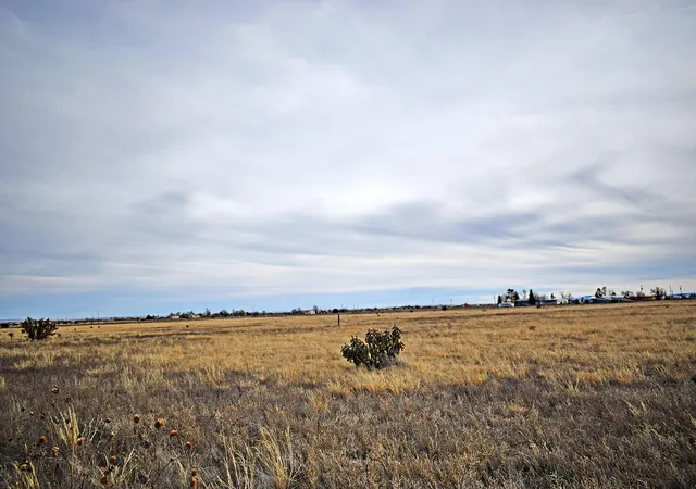 Photo 5 of Land for sale at Lot 8 Willow Lake Rd, Estancia, NM 87016 | MLS# 1096255 | Listing updated on 2026-07-21