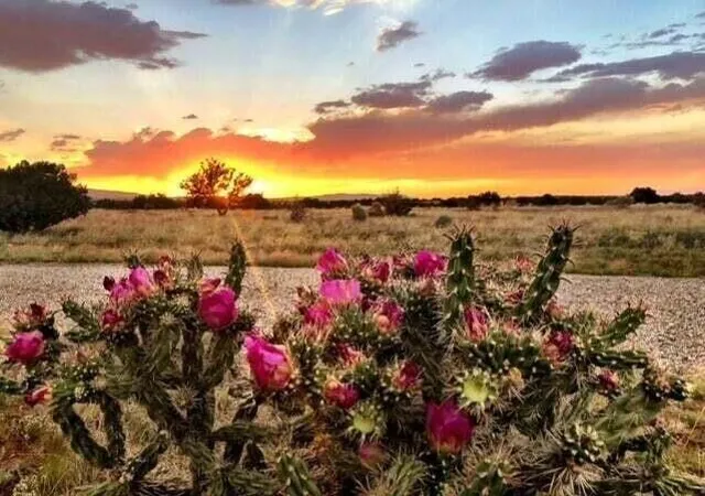 Photo 2 of Land for sale at 42 Camino Real, Sandia Park, NM 87047 | MLS# 1096264 | Listing updated on 2026-07-21
