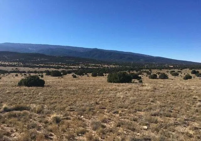 Photo 2 of Land for sale at 42 Camino Real, Sandia Park, NM 87047 | MLS# 1096264 | Listing updated on 2026-07-21