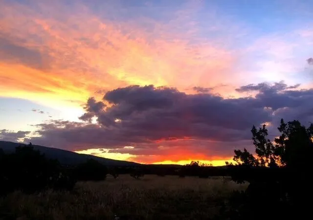 Photo 5 of Land for sale at 42 Camino Real, Sandia Park, NM 87047 | MLS# 1096264 | Listing updated on 2026-07-21