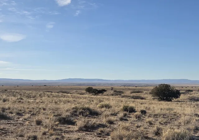 Homes for sale in Magdalena, NM | Vl Rancho Rio Grande Lot 271 #5, Magdalena, NM 87825 | MLS# 1096345