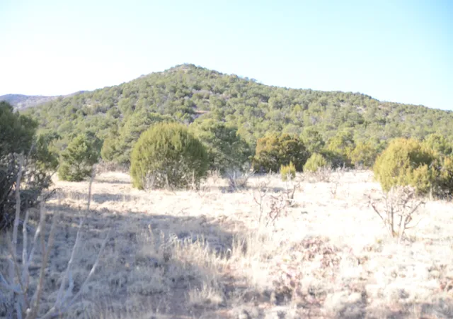3rd image of 80 N Mountain Rd, Edgewood, NM 87015 | MLS# 1096396