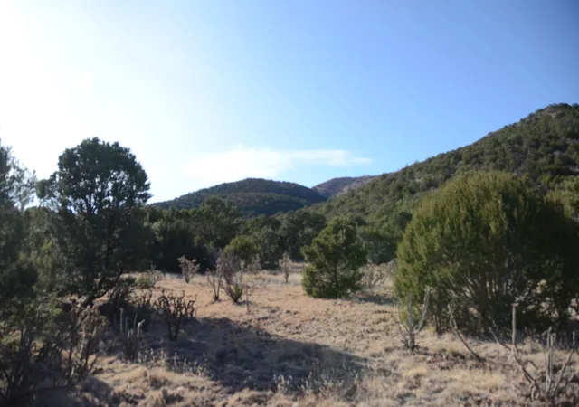 4th image of 80 N Mountain Rd, Edgewood, NM 87015 | MLS# 1096396