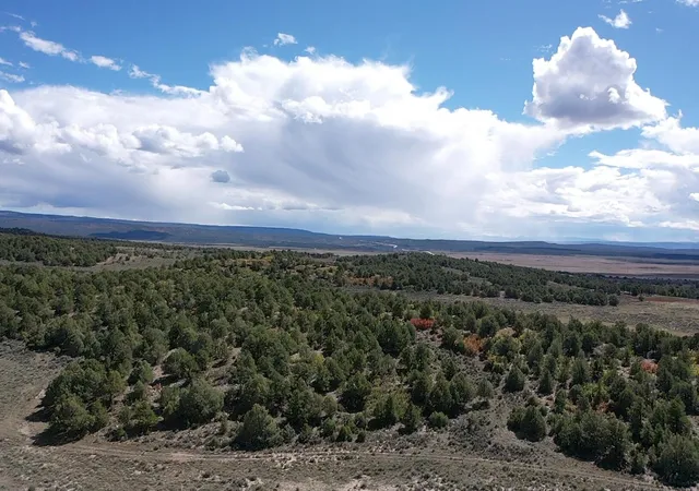 Homes for sale in Tierra Amarilla, NM | S And W Ranch, Tierra Amarilla, NM 87575 | MLS# 1096470