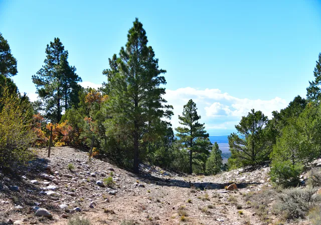 Homes for sale in Tierra Amarilla, NM | S And W Ranch, Tierra Amarilla, NM 87575 | MLS# 1096470
