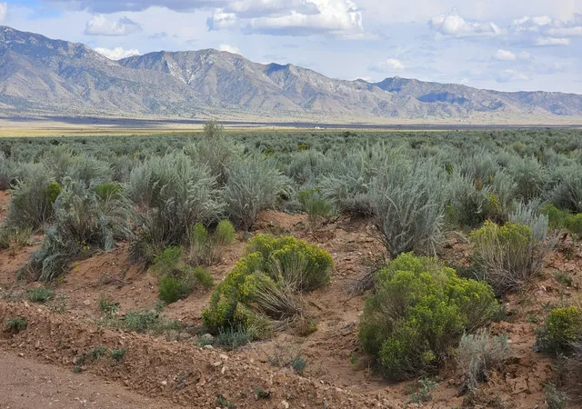 Photo 3 of Land for sale at Vl Lot: 10 Block: 589 #25, Rio Communities, NM 87002 | MLS# 1071313 | Listing updated on 2026-07-21