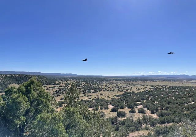Photo 2 of Land for sale at Trc S27 T3n R6e, Mountainair, NM 87036 | MLS# 1096711 | Listing updated on 2026-07-21