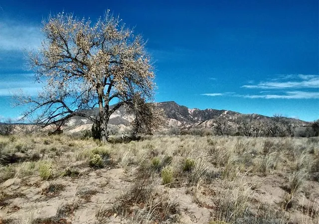 Photo 2 of Land for sale at Lot 5 El Porvenir, Abiquiu, NM 87510 | MLS# 1096989 | Listing updated on 2026-08-06