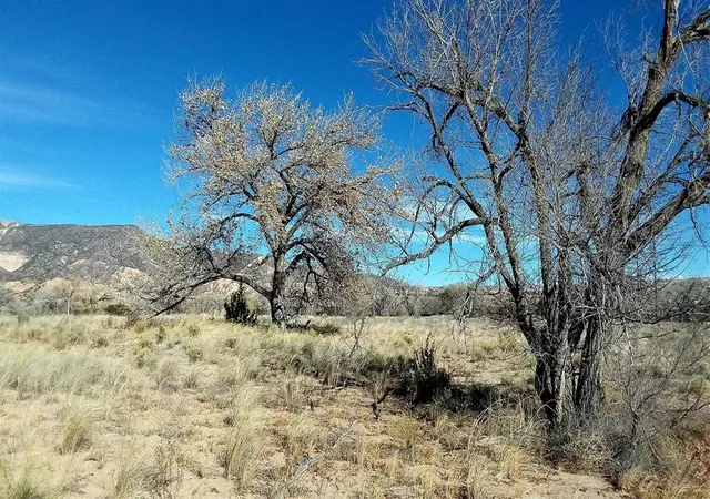 Photo 5 of Land for sale at Lot 5 El Porvenir, Abiquiu, NM 87510 | MLS# 1096989 | Listing updated on 2026-08-06