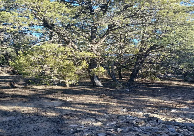 Photo 2 of Land for sale at 28 Tebbetts Rd, Edgewood, NM 87015 | MLS# 1097057 | Listing updated on 2026-08-10