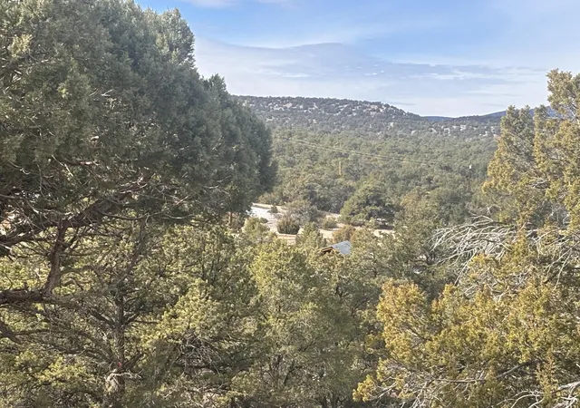 Homes for sale in Datil, NM | 227 Tee Pee Trl, Datil, NM 87821 | MLS# 1097297
