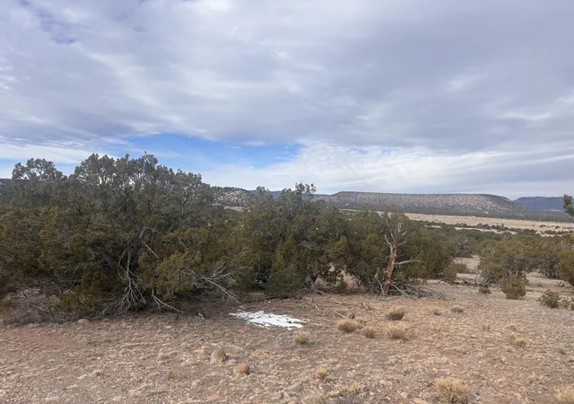 Homes for sale in Datil, NM | 227 Tee Pee Trl, Datil, NM 87821 | MLS# 1097297