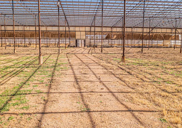 Photo 3 of Land for sale at 29 Rose Ln, Animas, NM 88020 | MLS# 1097440 | Listing updated on 2026-01-31
