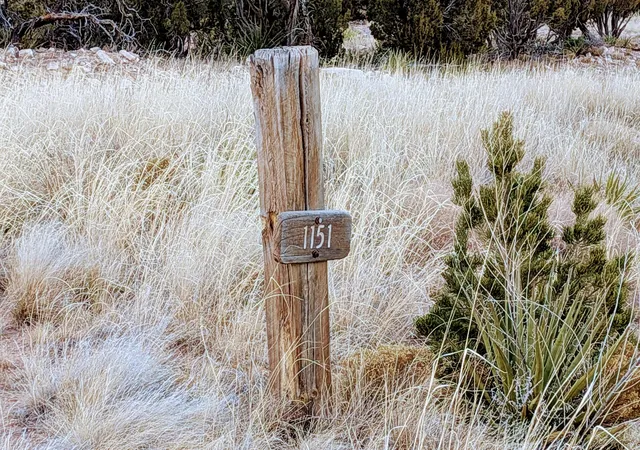 Photo 2 of Land for sale at 1151 Deer Cyn Trl, Mountainair, NM 87036 | MLS# 1097532 | Listing updated on 2026-07-22