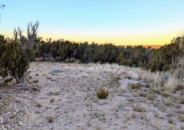 Photo 4 of Land for sale at 1151 Deer Cyn Trl, Mountainair, NM 87036 | MLS# 1097532 | Listing updated on 2026-07-22
