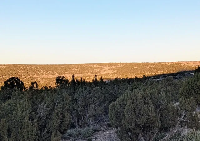 Photo 5 of Land for sale at 1151 Deer Cyn Trl, Mountainair, NM 87036 | MLS# 1097532 | Listing updated on 2026-07-22