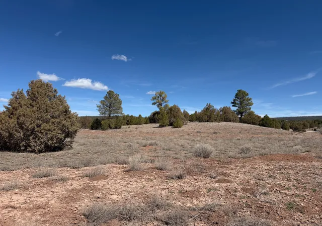Homes for sale in Ramah, NM | 700 Timberlake Rd, Ramah, NM 87321 | MLS# 1097622