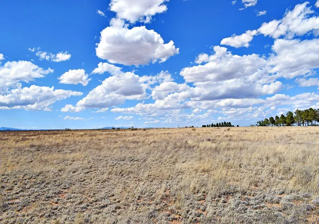 Photo 5 of Land for sale at Lot 30-31 Sam Frd Dr, Estancia, NM 87016 | MLS# 1097700 | Listing updated on 2026-07-21