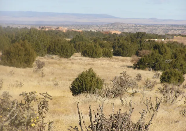 Homes for sale in Sandia Park, NM | 4 Osito Rd, Sandia Park, NM 87047 | MLS# 1098066