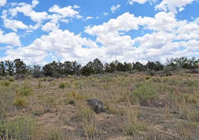 Photo 3 of Land for sale at 11th Street, Willard, NM 87063 | MLS# 1098103 | Listing updated on 2026-07-21