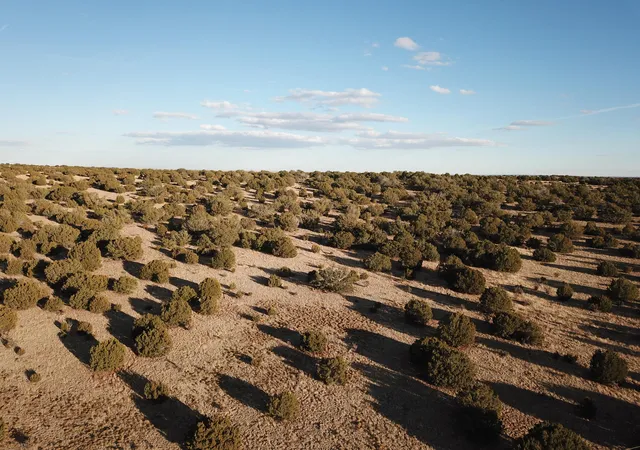 Photo 4 of Land for sale at Tract 16 Portrillo Crk Ranch, Santa Rosa, NM 88435 | MLS# 1098188 | Listing updated on 2026-08-06