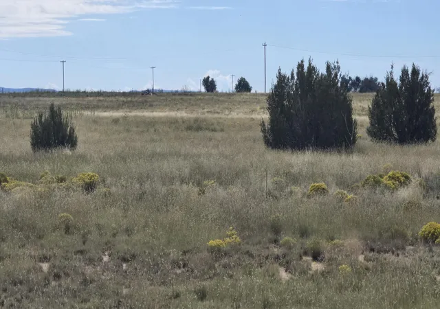 Photo 12 of Land for sale at 235 Riley Rd, Estancia, NM 87016 | MLS# 1098261 | Listing updated on 2026-07-30