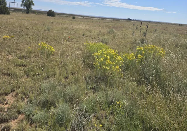 Photo 4 of Land for sale at 235 Riley Rd, Estancia, NM 87016 | MLS# 1098261 | Listing updated on 2026-07-30
