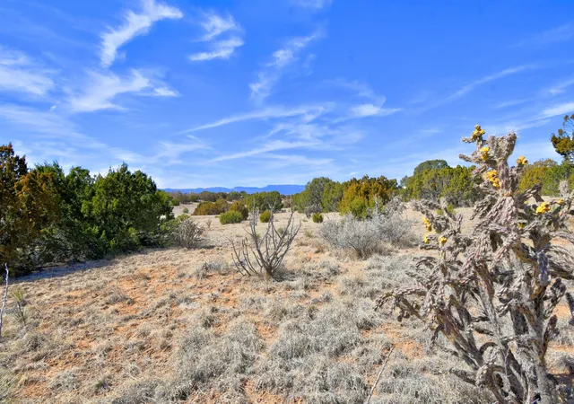 Photo 5 of Land for sale at 38 Weathersby Dr, Edgewood, NM 87015 | MLS# 1098356 | Listing updated on 2026-07-22