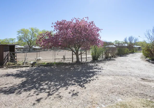 4th image of 350 Applewood Rd, Corrales, NM 87048 | MLS# 1098408