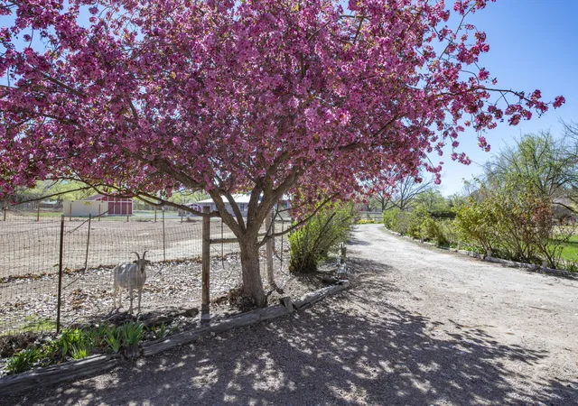 5th image of 350 Applewood Rd, Corrales, NM 87048 | MLS# 1098408