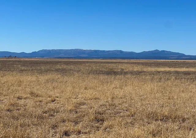 Photo 41 of Sale Pending at Tbd W Alan Ayers Ave, Estancia, NM 87016 | MLS# 1098514 | Listing updated on 2026-07-14