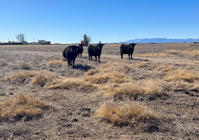 Photo 4 of Sale Pending at Tbd W Alan Ayers Ave, Estancia, NM 87016 | MLS# 1098514 | Listing updated on 2026-07-14