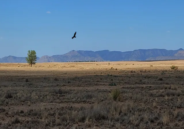 5th image of 19 Lots Rio Del Oro Loop N, Los Lunas, NM 87031 | MLS# 1098706