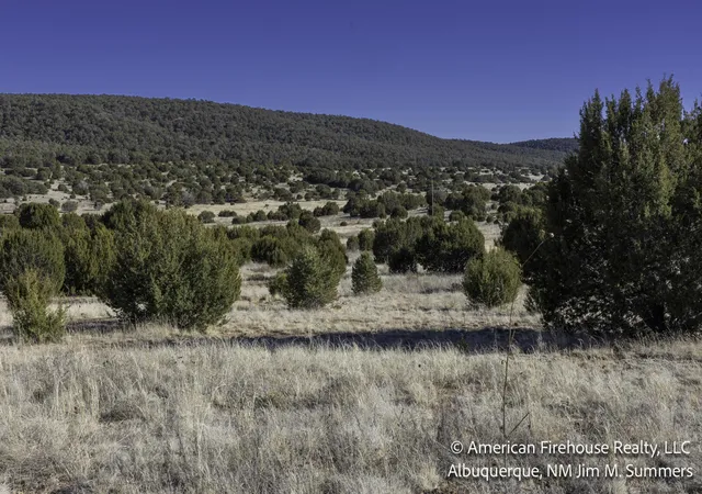 2nd image of East Trail, Edgewood, NM 87015 | MLS# 1098728