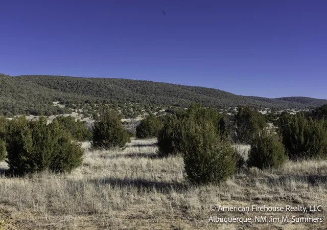 4th image of East Trail, Edgewood, NM 87015 | MLS# 1098728