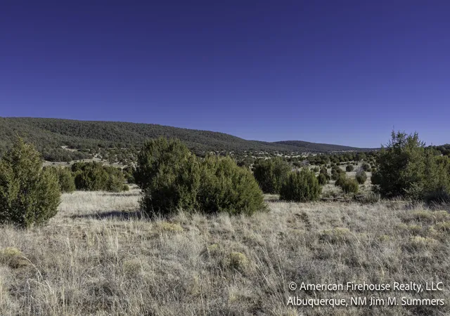 5th image of East Trail, Edgewood, NM 87015 | MLS# 1098728