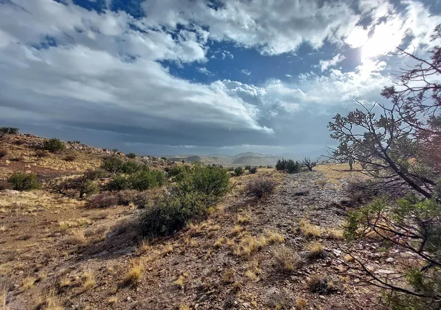 Photo 2 of Land for sale at Lot 48 Santa Rita Ranches, Riley, NM 87825 | MLS# 1098772 | Listing updated on 2026-04-14