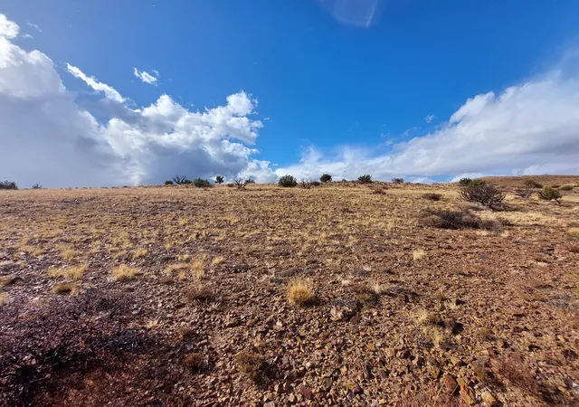 Photo 3 of Land for sale at Lot 48 Santa Rita Ranches, Riley, NM 87825 | MLS# 1098772 | Listing updated on 2026-04-14