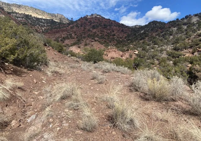 Photo 3 of Land for sale at Lands Of Green Maggie Lot 2, Jemez Springs, NM 87025 | MLS# 1098799 | Listing updated on 2026-07-21