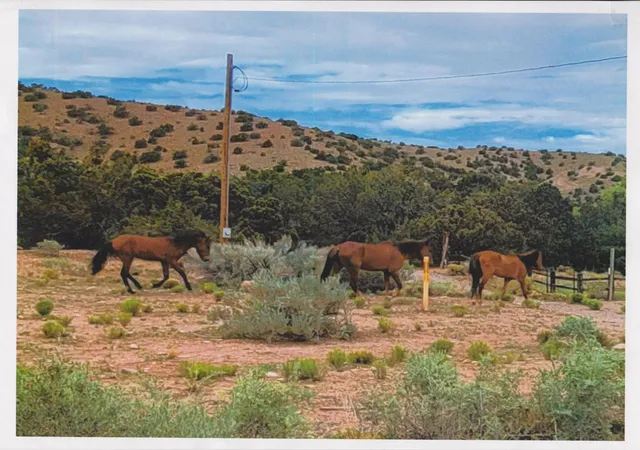 Homes for sale in Placitas, NM | Deba Jo De Ojo, Placitas, NM 87043 | MLS# 1098834