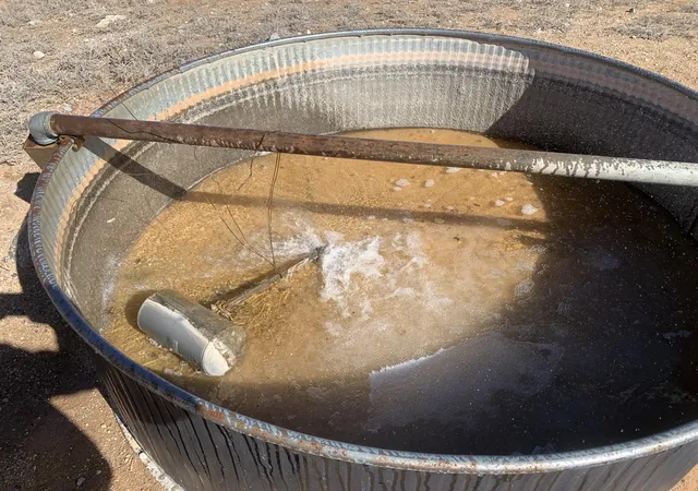 Photo 3 of House for sale at State Hwy 55 Ranch, Estancia, NM 87016 | MLS# 1098864 | Listing updated on 2026-08-12