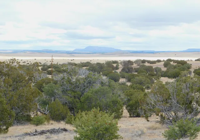 Photo 2 of Land for sale at 52 & 62 Wildflower Trl, Quemado, NM 87829 | MLS# 1099005 | Listing updated on 2026-08-21