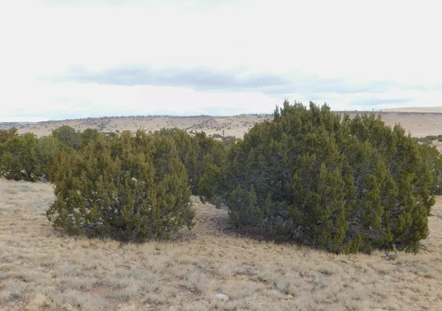 Photo 3 of Land for sale at 52 & 62 Wildflower Trl, Quemado, NM 87829 | MLS# 1099005 | Listing updated on 2026-08-21