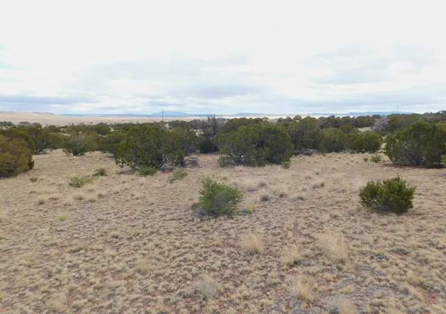 Photo 4 of Land for sale at 52 & 62 Wildflower Trl, Quemado, NM 87829 | MLS# 1099005 | Listing updated on 2026-08-21