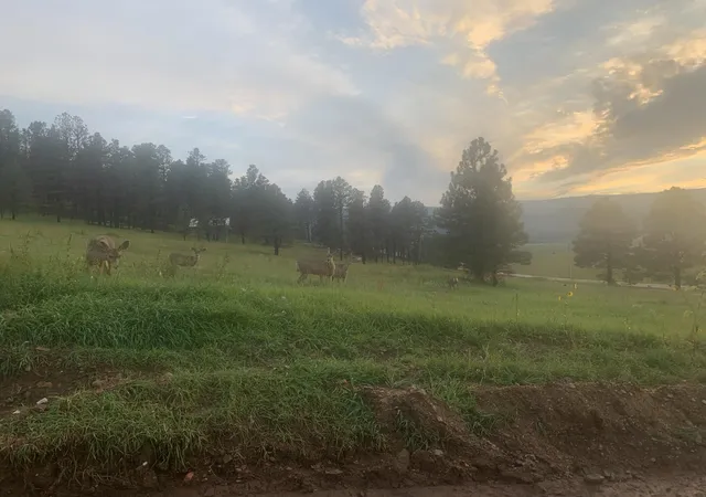 2nd image of 228 Cumbre Rd, Rociada, NM 87742 | MLS# 1099073