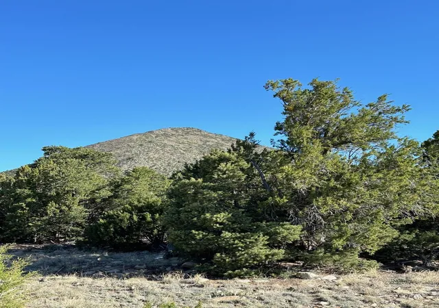 Photo 3 of Land for sale at 5 Canon De Manantial, Edgewood, NM 87015 | MLS# 1099098 | Listing updated on 2026-07-21