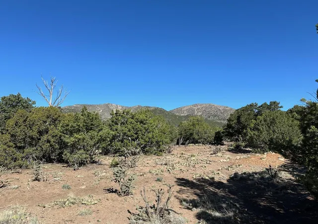 Photo 5 of Land for sale at 5 Canon De Manantial, Edgewood, NM 87015 | MLS# 1099098 | Listing updated on 2026-07-21