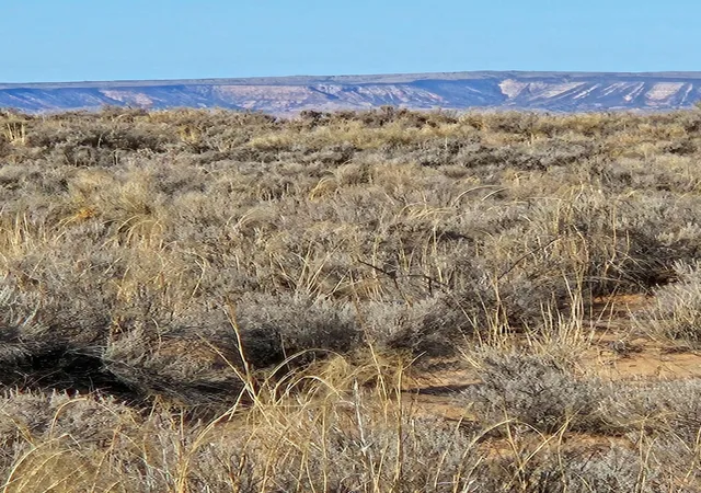 4th image of Duarte Lot 2 Rd, Los Lunas, NM 87031 | MLS# 1099150